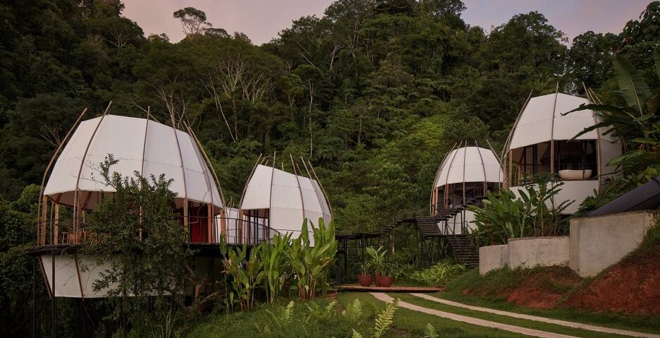 热带丛林中的“膜结构”小屋